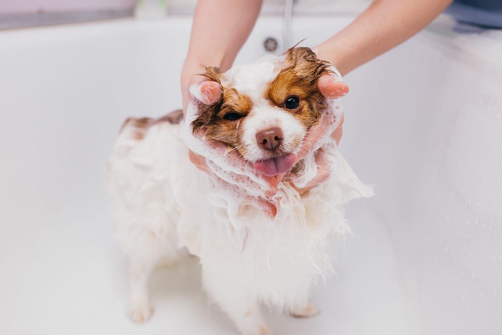 What a Bath Clean Up Covers